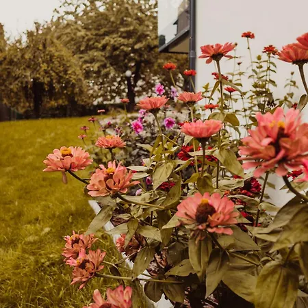 Hill Orłowo Apartament Gdynia