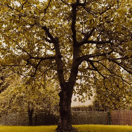 Apartament Hill Orłowo Gdynia