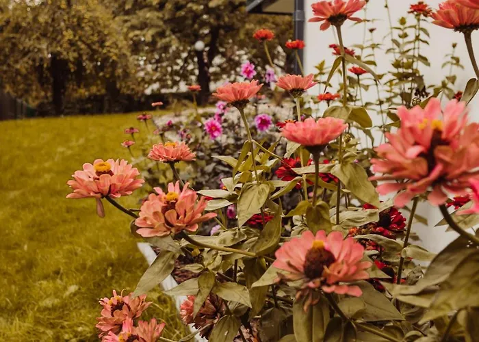 Hill Orlowo Apartamento Gdynia